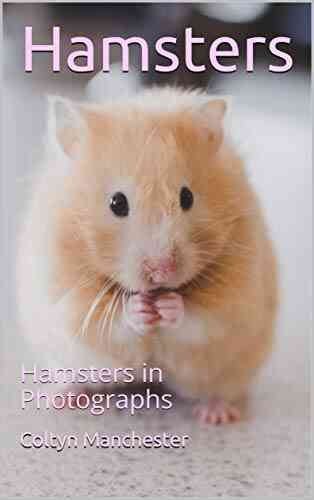 Hamsters: Hamsters In Photographs BRANDI ROBINSON