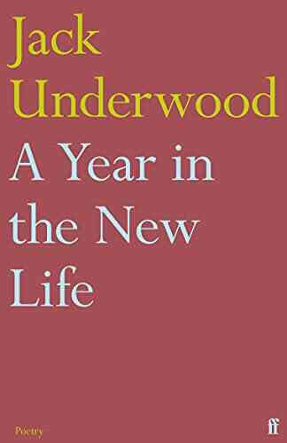 A Year In The New Life