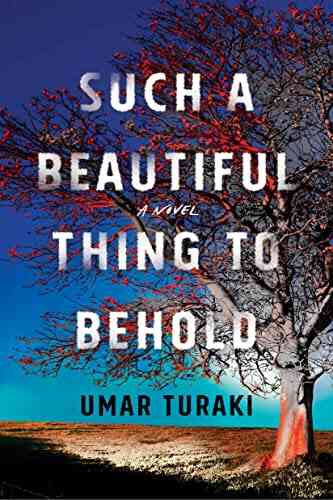 Such A Beautiful Thing To Behold: A Novel
