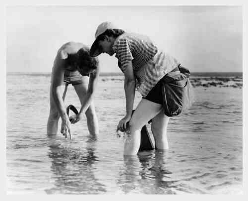 Techniques And Terminology For Crab Netters