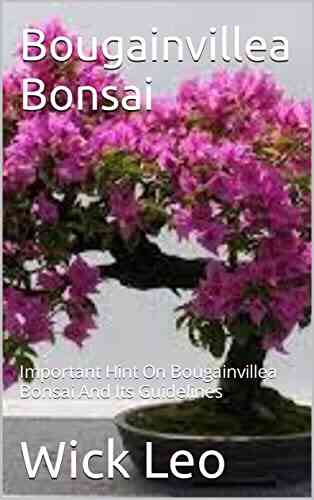 Bougainvillea Bonsai: Important Hint On Bougainvillea Bonsai And Its Guidelines