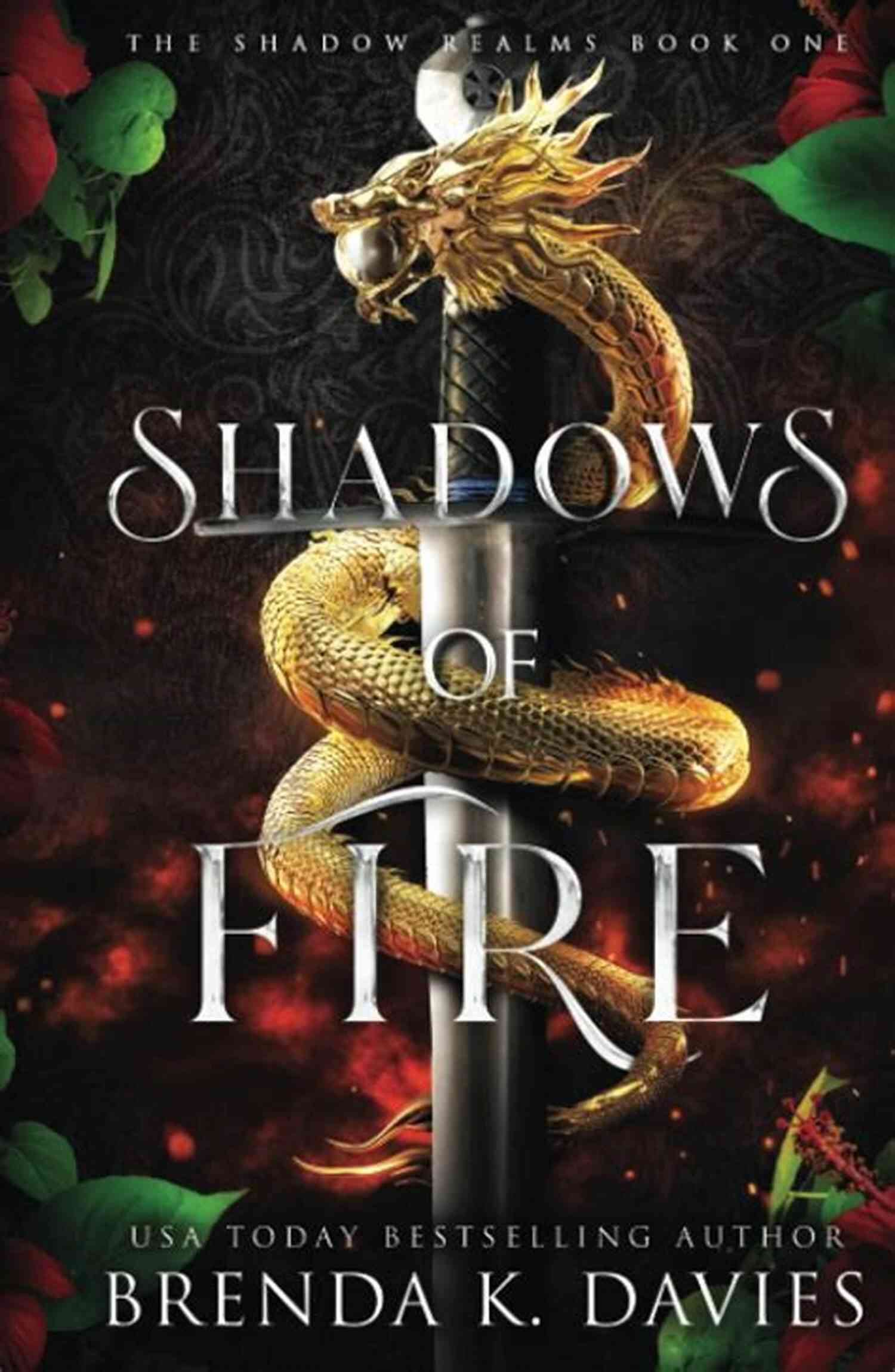 An Illustration Of The Shadows Of Fire Shadows Of Fire (The Shadow Realms 1)