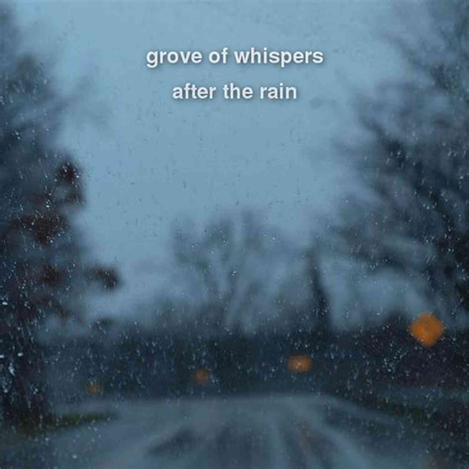 Captivating Rainy Whispers In Wyoming Mountains During Fall Remembering Rainy (Whispers In Wyoming 25)