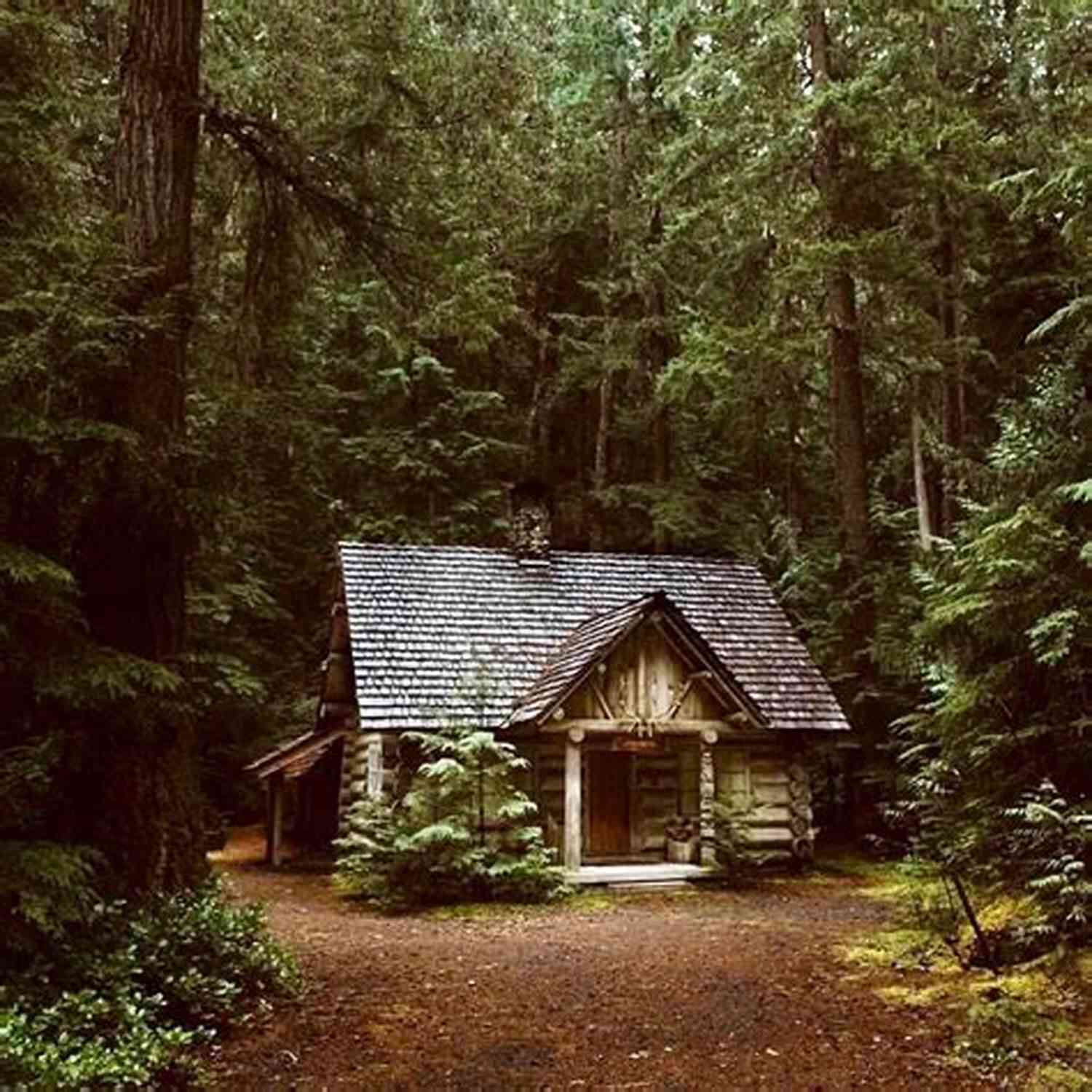 Cottage In The Woods Cottage Country: A Haiku Collection