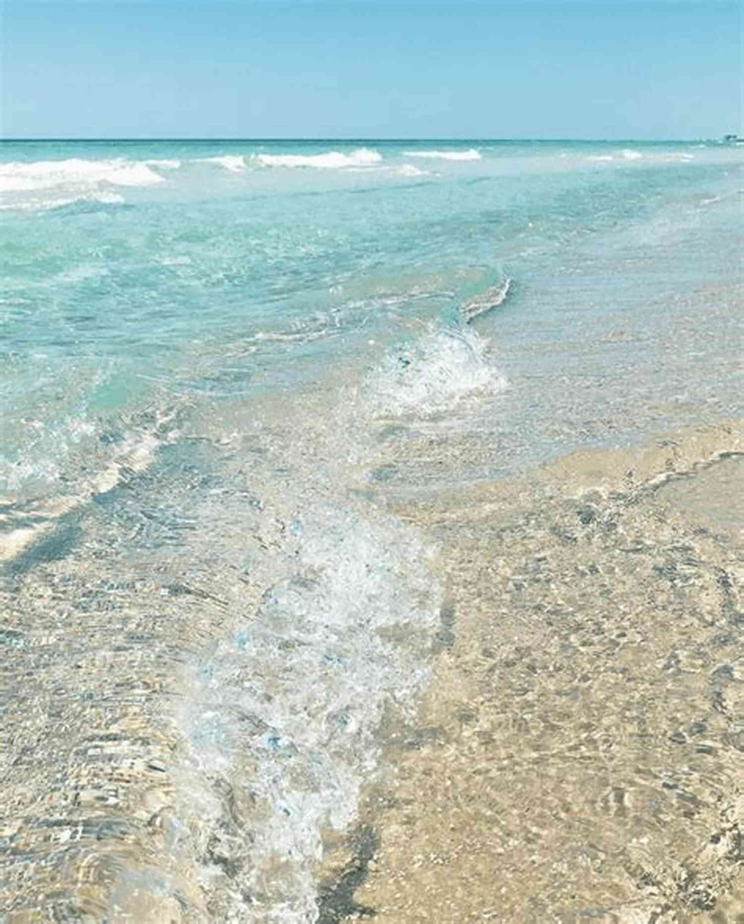 Enjoying The Crystal Clear Water Of A Florida Beach THE GUIDE TO SURVIVING FLORIDA: Volume 1