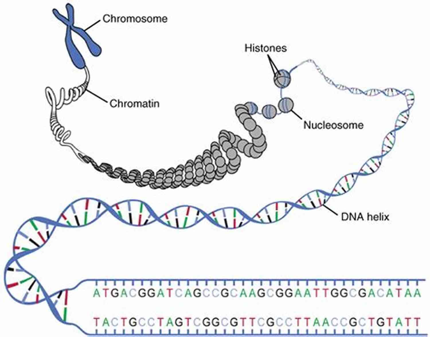 Evolutionary Origins Of Obesity: Unraveling The Complex Relationship Between Our Genes And Weight Nature Wants Us To Be Fat: The Surprising Science Behind Why We Gain Weight And How We Can Prevent And Reverse It