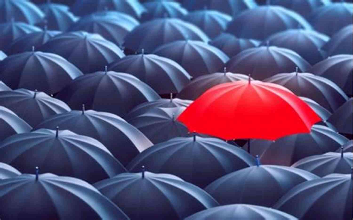 Finding Your Niche Blogging Brilliance: A Step By Step Easy Guide To Starting A Successful Blog