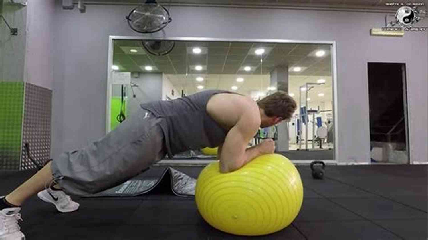 Fitball Plank Exercise Guide Fitness For Polo FitBall Exercise Guide (Fitness For Polo 2)