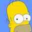 Homer