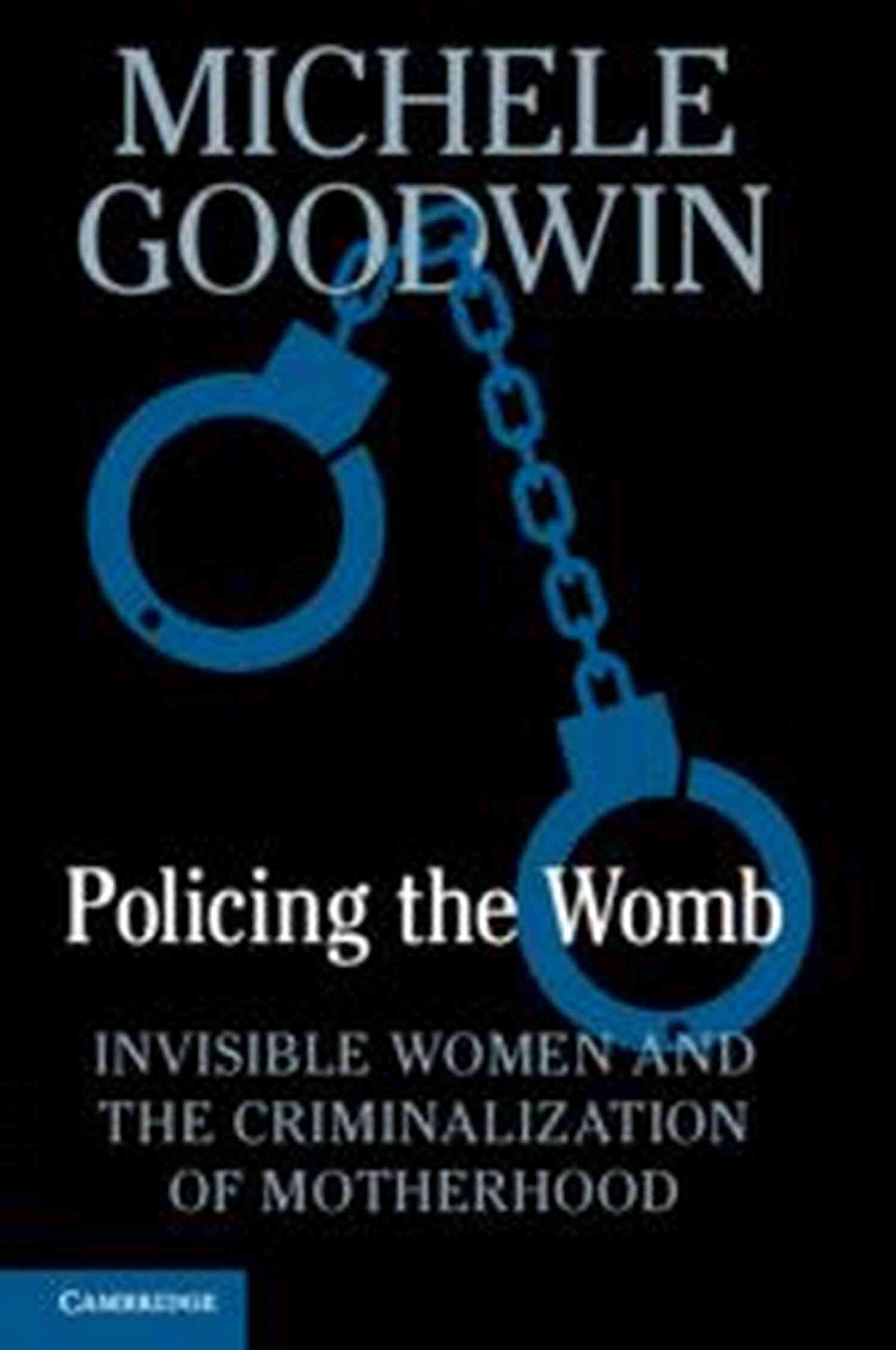 Invisible Women And The Criminalization Of Motherhood Concept Image Policing The Womb: Invisible Women And The Criminalization Of Motherhood
