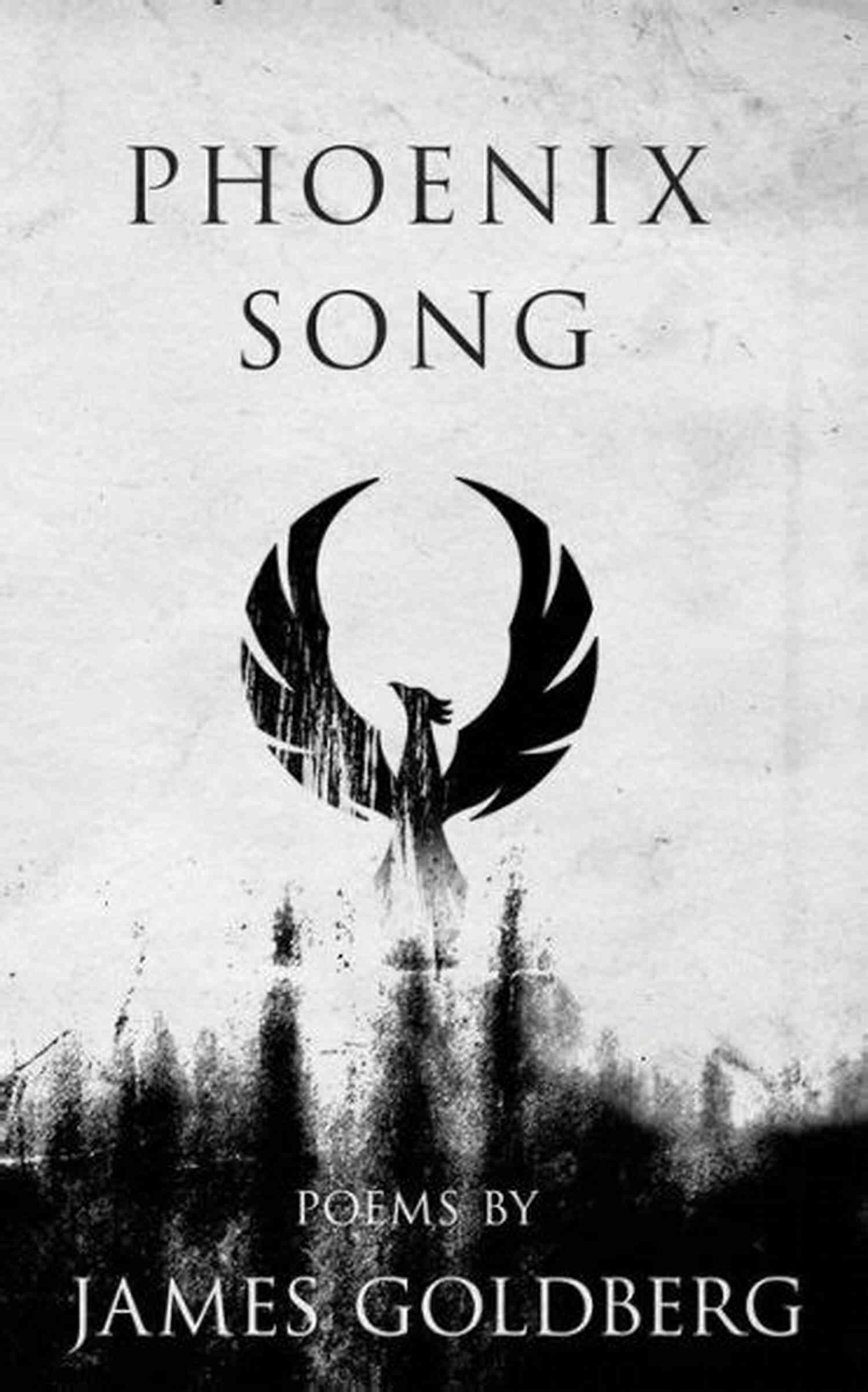 Phoenix Song James Goldberg Rising Star In The Music Industry Phoenix Song James Goldberg