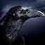 Raven Dark