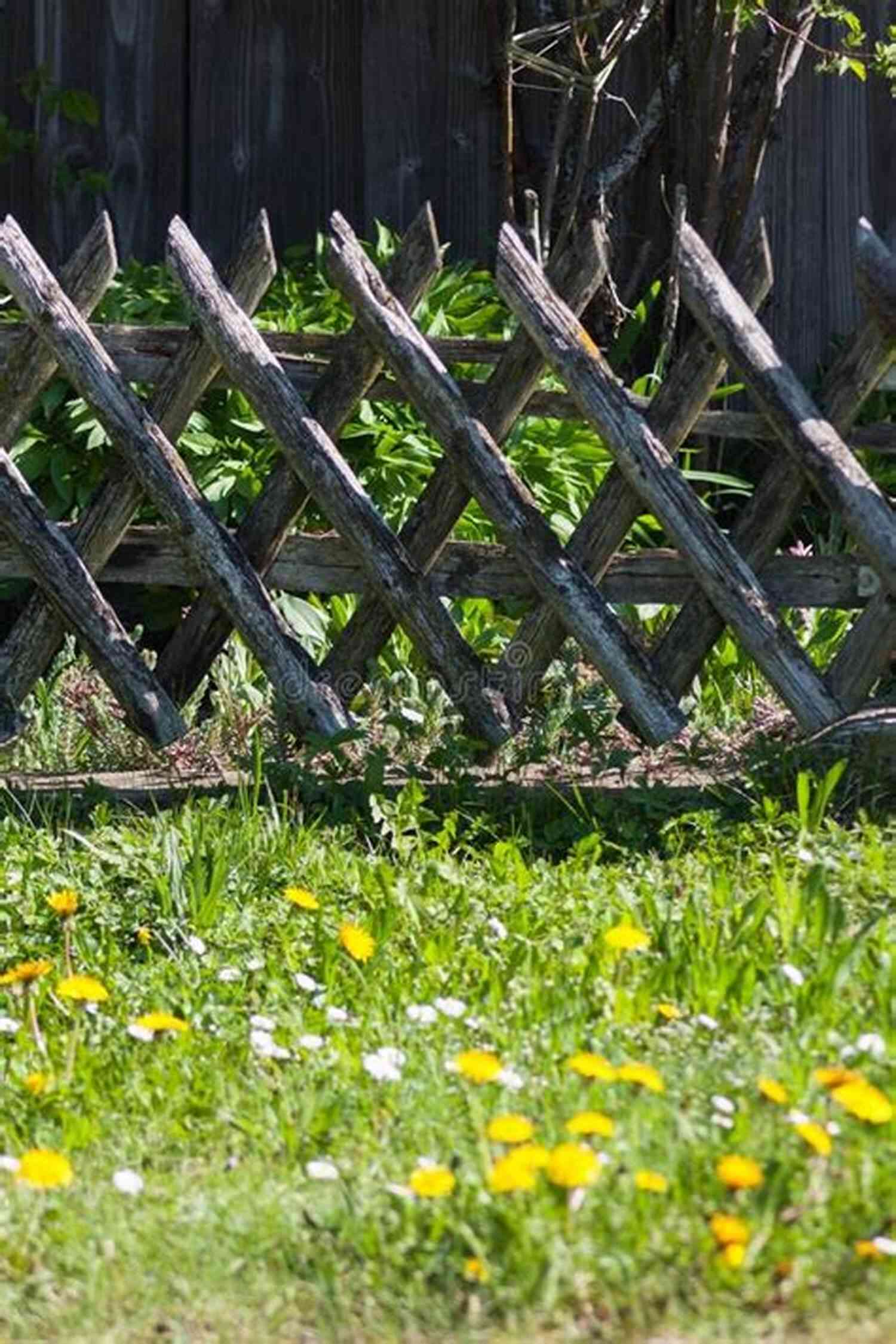 Spring Awakening Cottage Country: A Haiku Collection