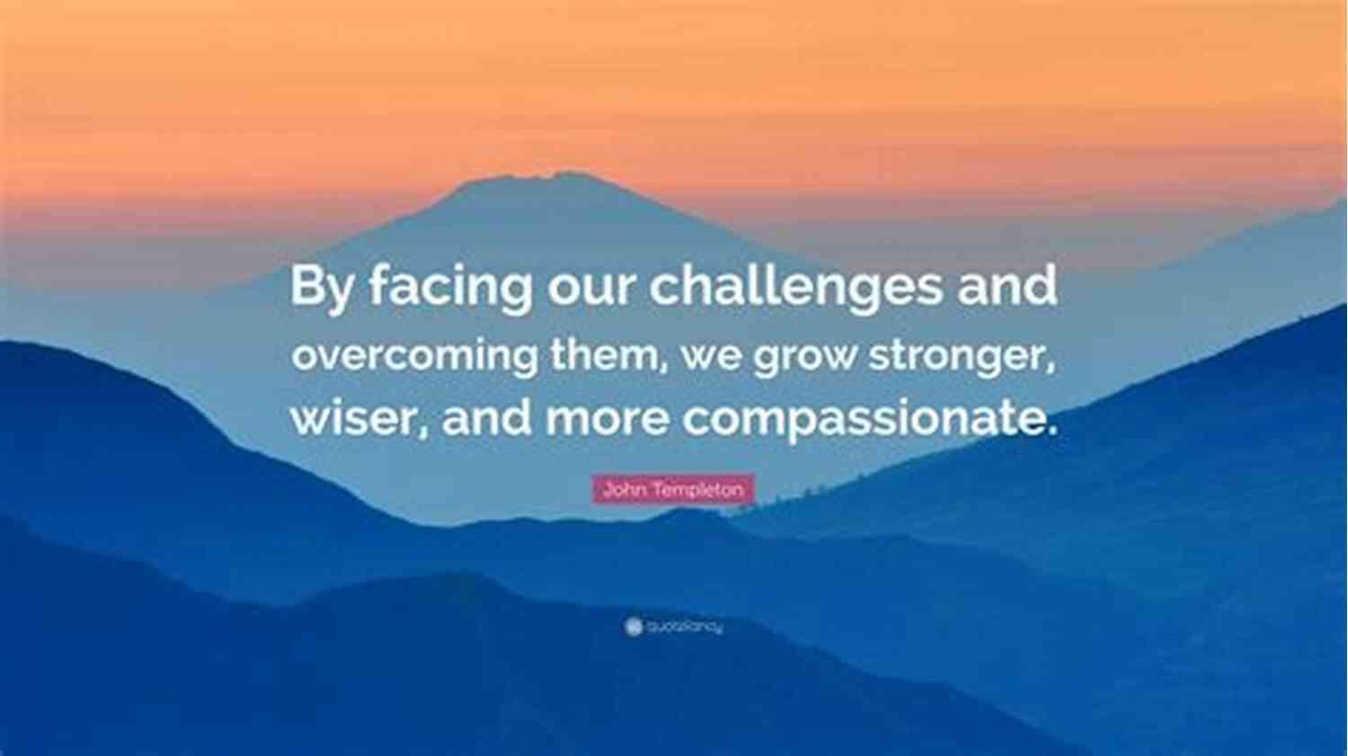 Survivor Guide To Self Execution: Overcoming Challenges, Growing Stronger The Survivor S Guide To Self Execution