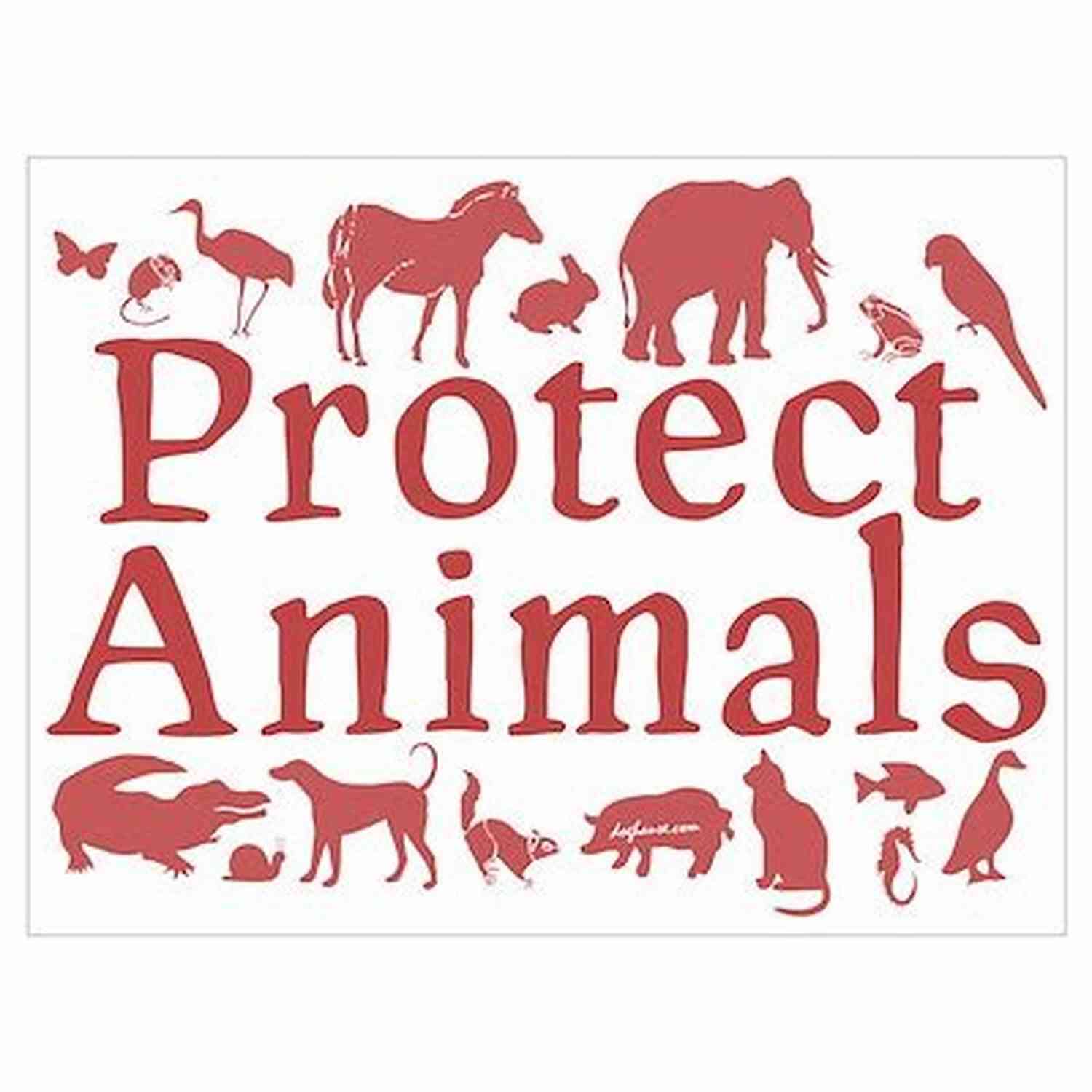 The Duke Daughter Protecting Animal Rights Accomplishments Of The Duke S Daughter Vol 8