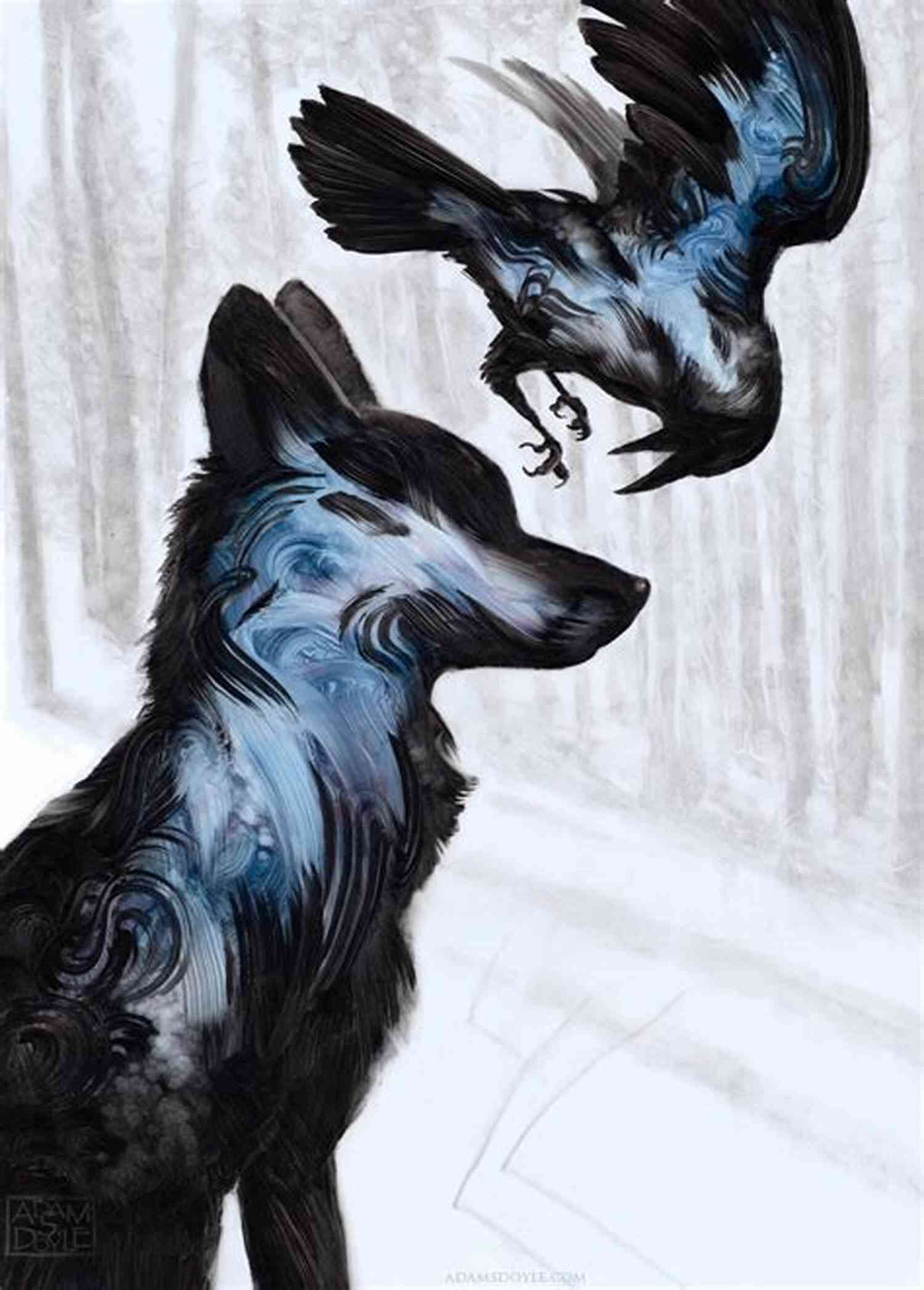 The Enigmatic Beauty Of The Raven Fall Emerald Raven Will Leave You Breathless The Raven S Fall: Emerald Raven