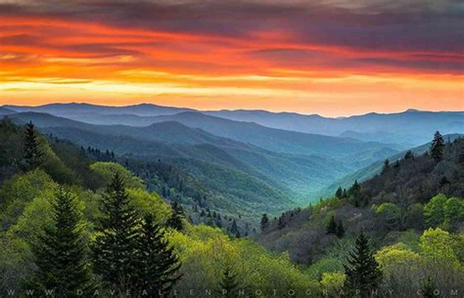 Walking To Gatlinburg Landscape Walking To Gatlinburg: A Novel