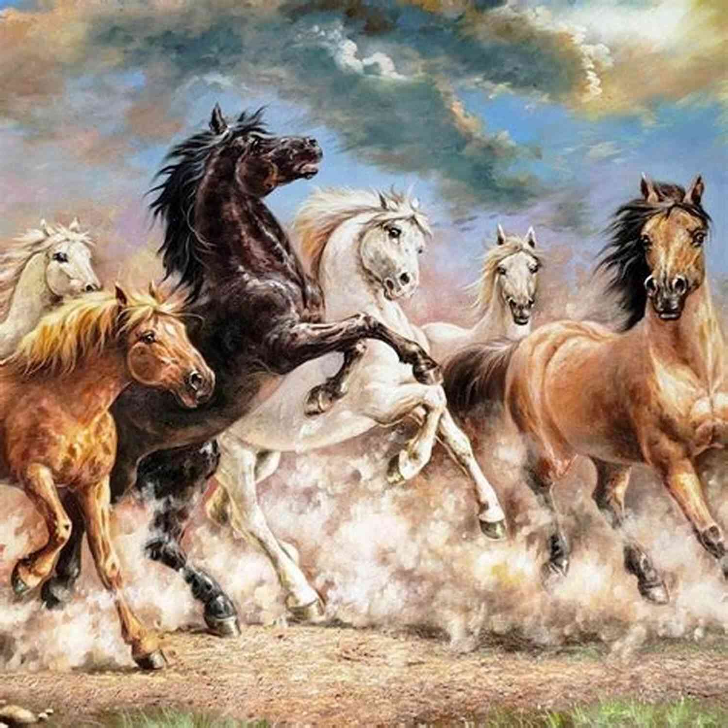 Wild Horses Galloping Across The Vast Plains Of The Inland West Havoc Solace: Poems From The Inland West